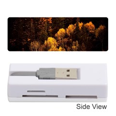 Autumn Fall Foliage Forest Trees Woods Nature Memory Card Reader (stick) by danenraven