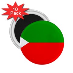 Avar People 2 25  Magnets (10 Pack)  by tony4urban