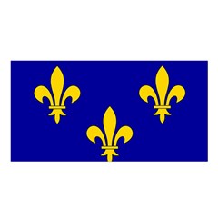 Ile De France Flag Satin Shawl 45  X 80  by tony4urban