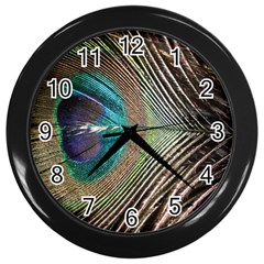 Peacock Wall Clock (black) by StarvingArtisan