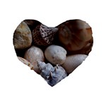 Beautiful Seashells  Standard 16  Premium Heart Shape Cushions Back