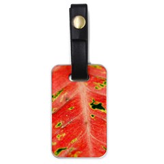 Aglonema Leaf Plant Pattern Flora Luggage Tag (one Side) by danenraven