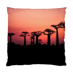 Baobabs Trees Silhouette Landscape Sunset Dusk Standard Cushion Case (two Sides) by Jancukart