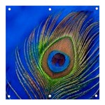 Blue Peacock Feather Banner and Sign 3  x 3  Front