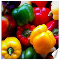 Colorful Capsicum Canvas 12  X 12  by Sparkle