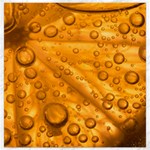Lime Water Bubbles Macro Light Detail Background Canvas 16  x 16  15.2 x15.41  Canvas - 1
