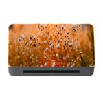 Late Afternoon Memory Card Reader with CF Front