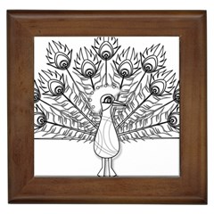 Peacock-plumage-display-bird Framed Tile by 99art