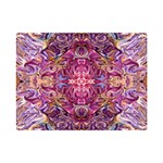 Indian Summer patterns Premium Plush Fleece Blanket (Mini) 35 x27  Blanket Front