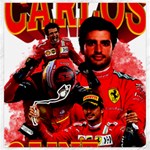 Carlos Sainz Canvas 20  x 20  19 x19.27  Canvas - 1