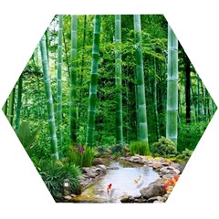 Bamboo Forest Squid Family Wooden Puzzle Hexagon by Grandong