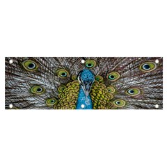 Peacock-feathers2 Banner And Sign 6  X 2  by nateshop