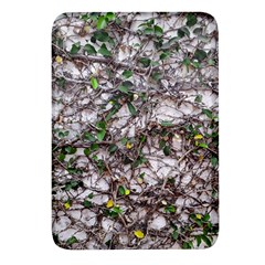 Climbing Plant At Outdoor Wall Rectangular Glass Fridge Magnet (4 Pack) by dflcprintsclothing