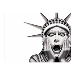 Funny Statue Of Liberty Parody Two Sides Premium Plush Fleece Blanket (mini) by Sarkoni