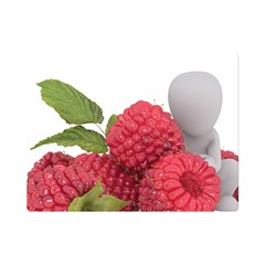 Fruit-healthy-vitamin-vegan Premium Plush Fleece Blanket (mini) by Ket1n9