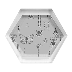 Insects-seamless-pattern Hexagon Wood Jewelry Box by Amaryn4rt