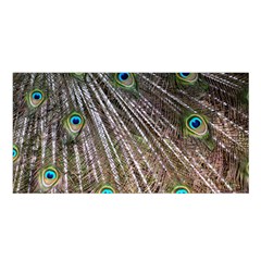 Peacock-feathers-pattern-colorful Satin Shawl 45  X 80  by Amaryn4rt