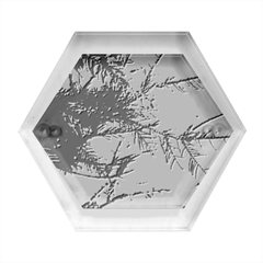 Fir Sunset Frost Snow Hexagon Wood Jewelry Box by Pakjumat