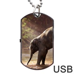 Baby Elephant Watering Hole Dog Tag Usb Flash (one Side) by Sarkoni