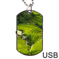 Apartment Curve Path Step Dog Tag Usb Flash (one Side) by Sarkoni