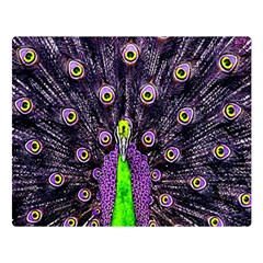 Peacock Bird Color Two Sides Premium Plush Fleece Blanket (large) by Cendanart