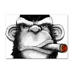 Png houed Sticker A4 (10 pack) Front
