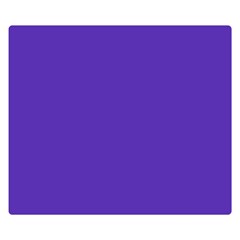 Ultra Violet Purple Premium Plush Fleece Blanket (small) by bruzer