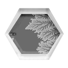 Foroest Nature Trippy Hexagon Wood Jewelry Box by Bedest