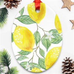 Fruit-2310212 Oval Ornament (two Sides) by lipli