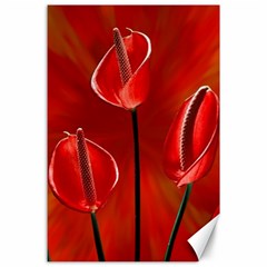 Flowers Red Canvas 24  X 36  by Askadina