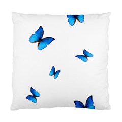 Butterfly-blue-phengaris Standard Cushion Case (two Sides) by saad11