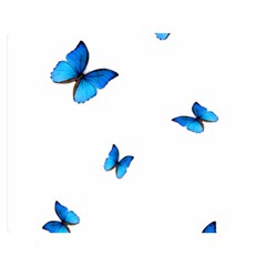 Butterfly-blue-phengaris Two Sides Premium Plush Fleece Blanket (teen Size) by saad11