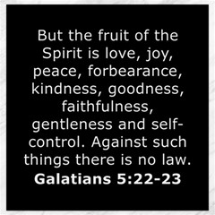 Galatians 5 Canvas 12  X 12  by RiverRootz