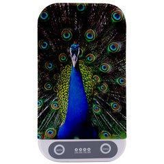 Peacock Bird Feathers Pheasant Nature Animal Texture Pattern Sterilizers by Bedest