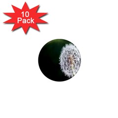 White Flower 1  Mini Magnet (10 Pack)  by Azkajaya