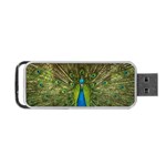 Peacock Feathers Bird Plumage Portable USB Flash (One Side) Front