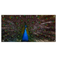 Bird Peacock Feathers Banner And Sign 8  X 4  by Perong