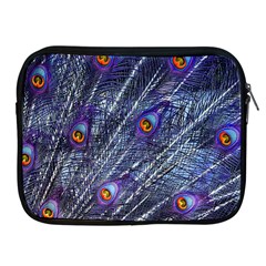Peacock Bird Feathers Coloured Plumage Apple Ipad 2/3/4 Zipper Cases by Perong