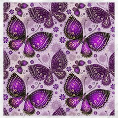 Butterflies Butterfly Insect Animal Nature Canvas 20  X 20  by Maspions