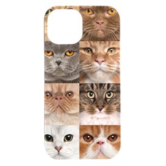 Breeds Of Cats Collage Iphone 15 Plus Black Uv Print Pc Hardshell Case by kyorashop23