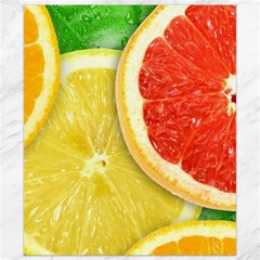 Fruit, Lemon Canvas 8  X 10  by kyorashop23