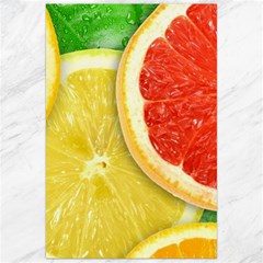 Fruit, Lemon Canvas 24  X 36  by kyorashop23