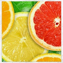 Fruit, Lemon Canvas 16  X 16  by kyorashop23