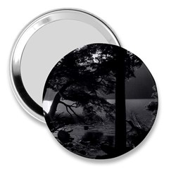 Los Alerces National Park Waterfront Landscape, Argentina002 3  Handbag Mirrors by dflcprintsclothing