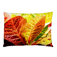 Leaves Plant Pattern Croton Nature Pillow Case (two Sides) by Sabxi